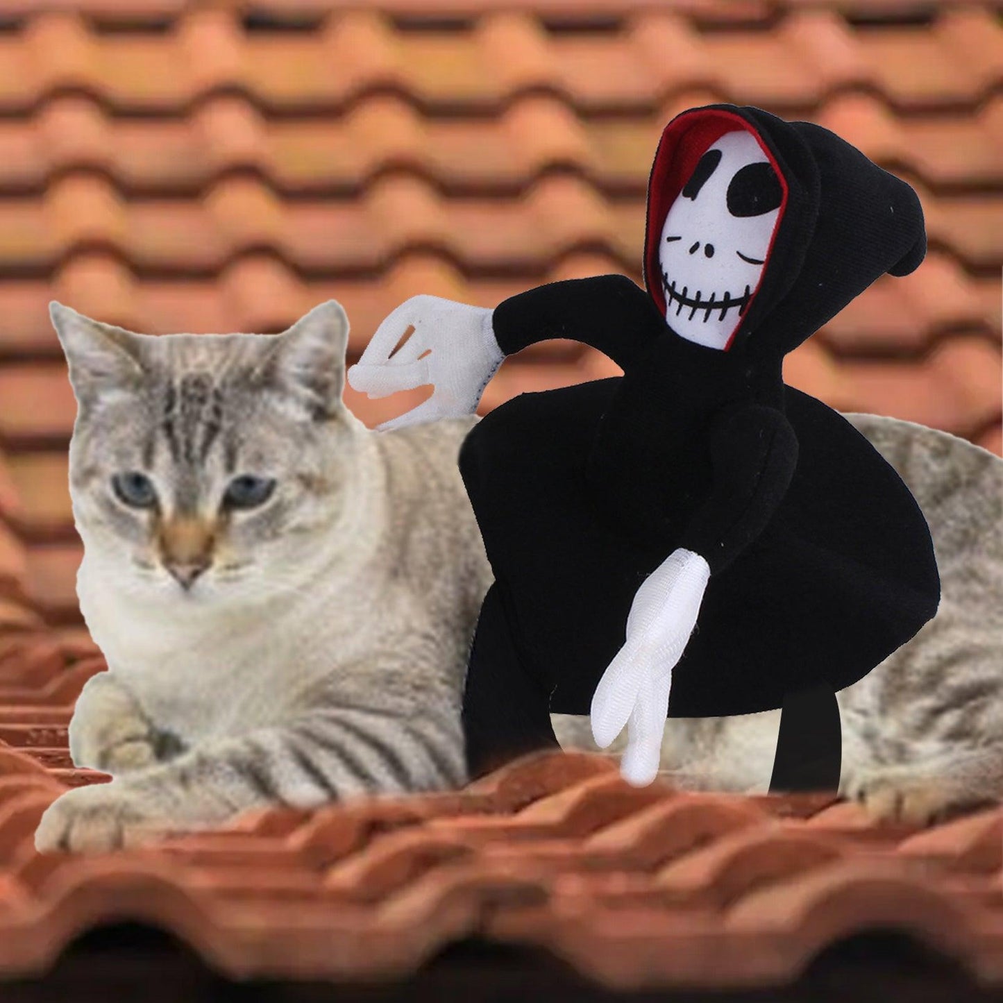 Scary Spider Rider Pet Halloween Costume