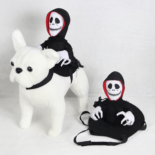 Scary Spider Rider Pet Halloween Costume