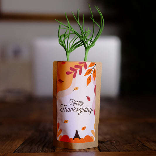 Thanksgiving Tree Growing Kit
