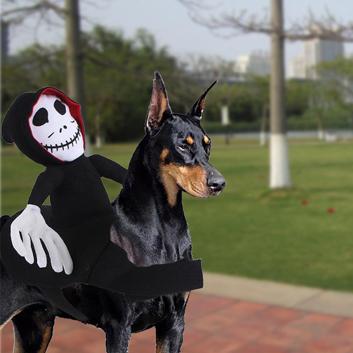 Scary Spider Rider Pet Halloween Costume
